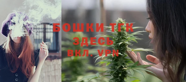 хмурый Аркадак
