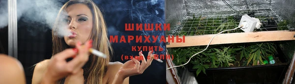 молекула духа Армянск