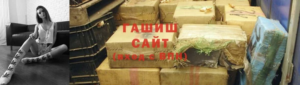 хмурый Аркадак