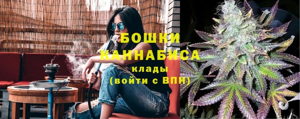 хмурый Аркадак