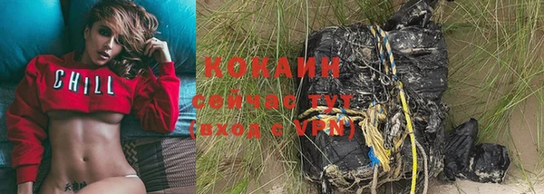 хмурый Аркадак