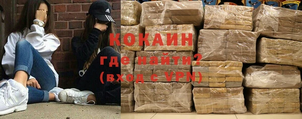 хмурый Аркадак