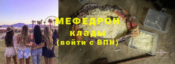 хмурый Аркадак