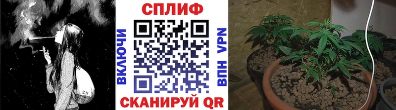 Бошки марихуана план Соль-Илецк