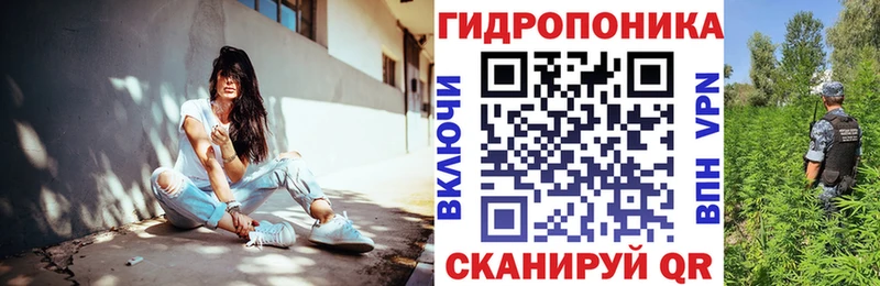 Канабис Amnesia  магазин продажи   OMG ссылки  Соль-Илецк 